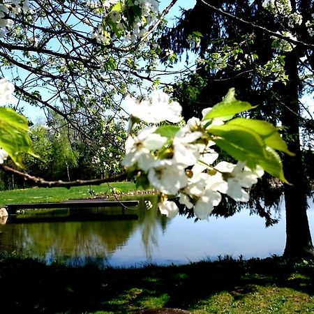 Dworek Szarki ภายนอก รูปภาพ